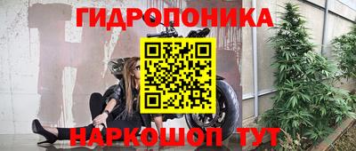 гидра Тулун