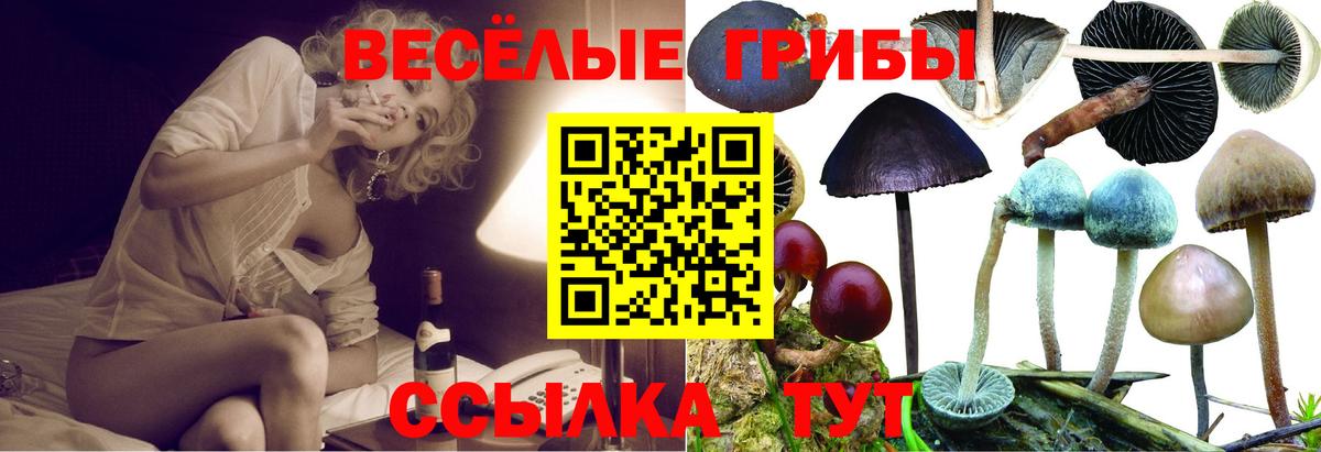 Батайск  Галлюциногенные грибы прущие грибы  Вход с VPN 