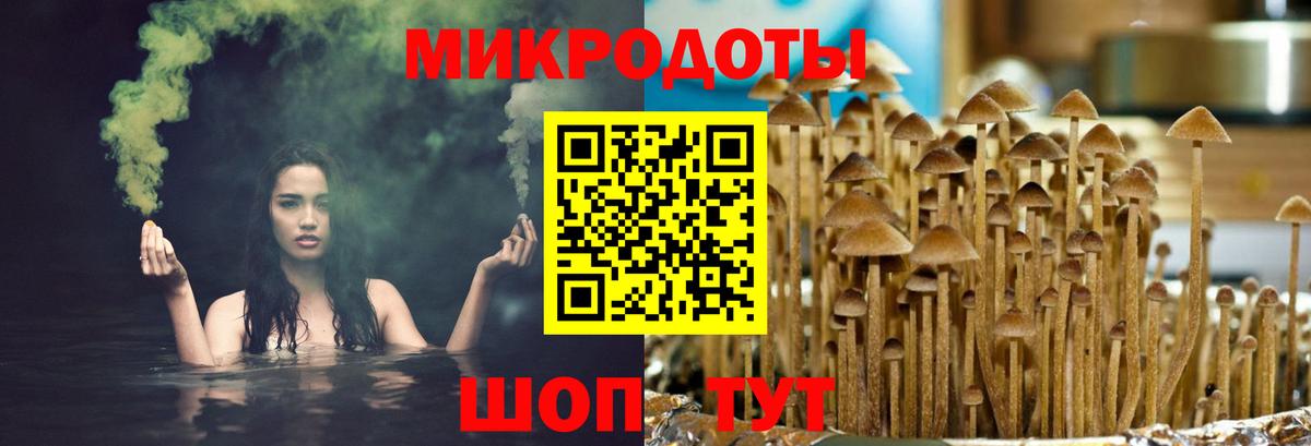 Галлюциногенные грибы Psilocybe Батайск